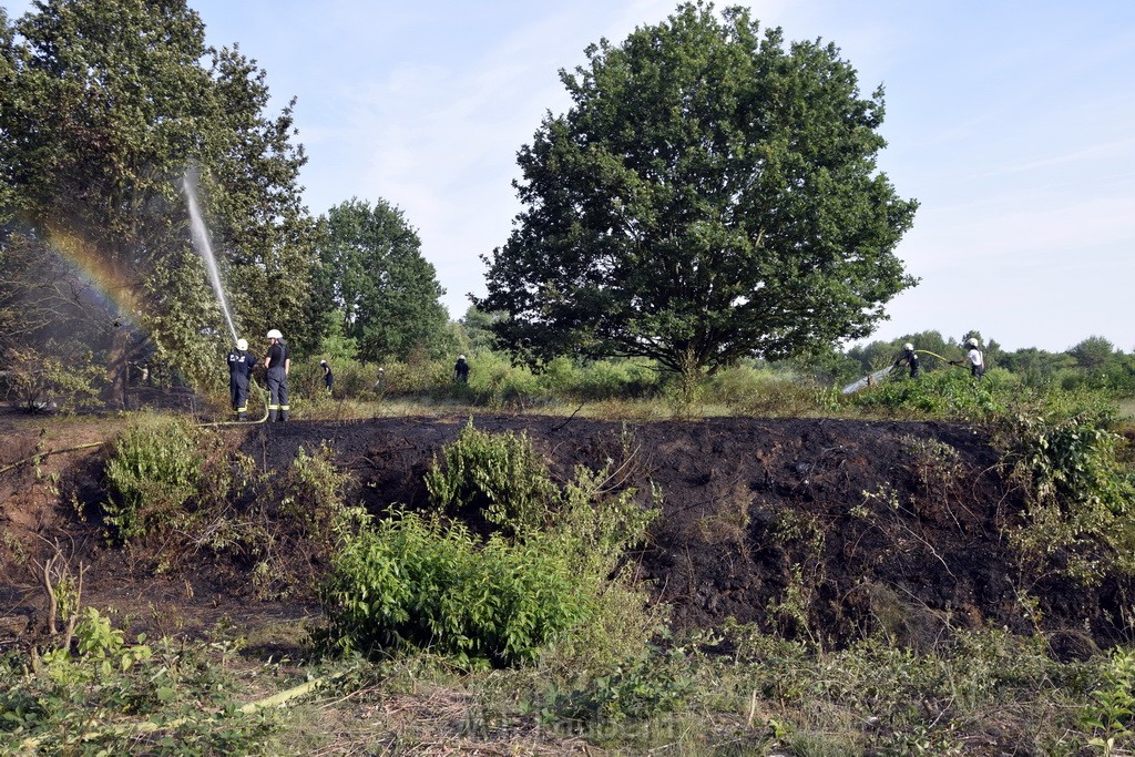 Waldbrand Koeln Hoehenhaus Hoehenfelder Mauspfad P117.JPG - Miklos Laubert